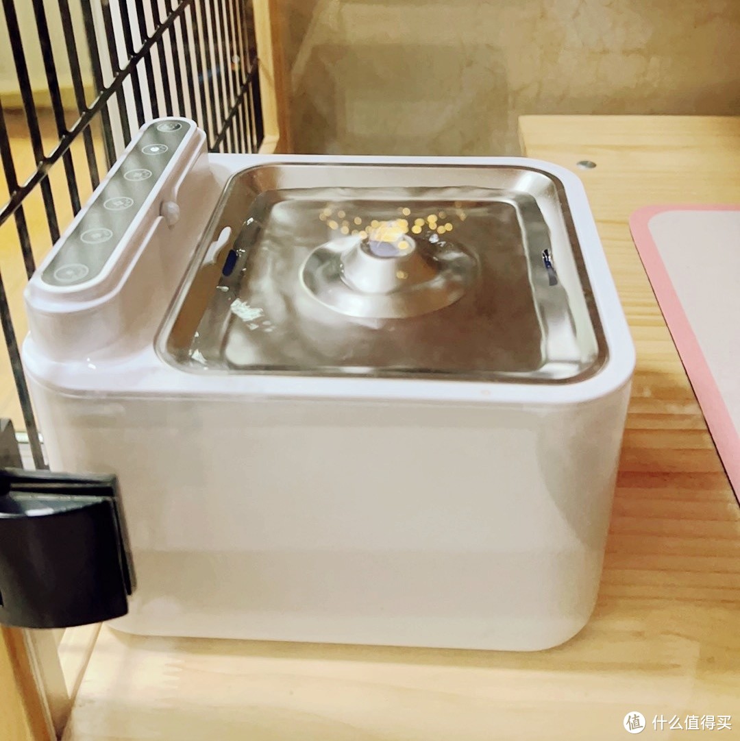 小甜橙宠物饮水机，让爱宠随时喝上干净水