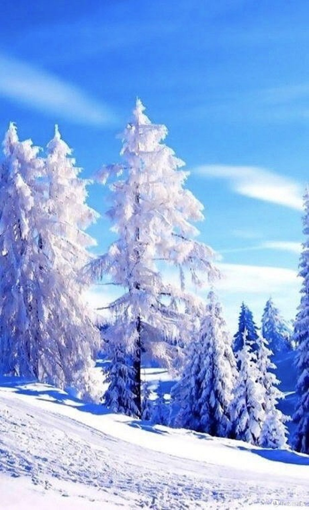 全球十大滑雪胜地推荐