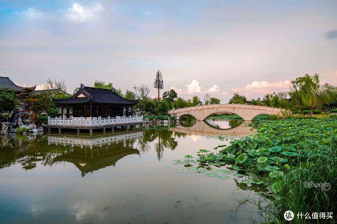 盐城大洋湾风景区图片图片