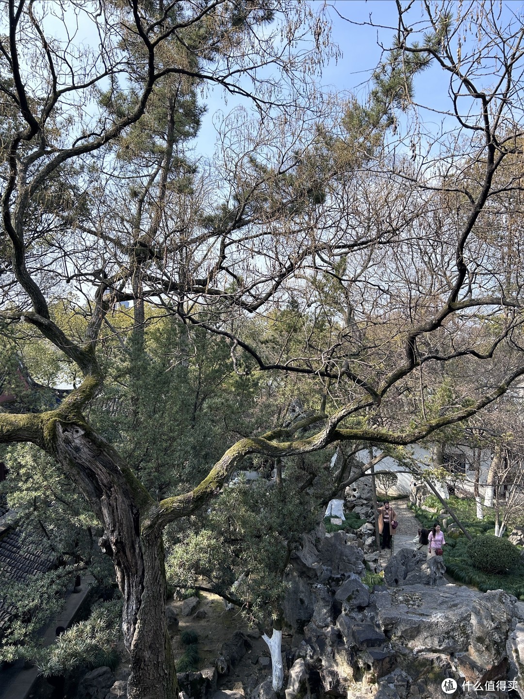 嘉兴一日游丨如果时间紧张，逛这三个景点就够了！不虚此行！