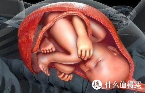 胎儿在最后一个月体重增长最快？恭喜你，答错了，实际上是这个月