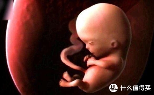 胎儿每天睡多久，怎么知道胎儿是醒着的？过来人的答案让人眼前一亮