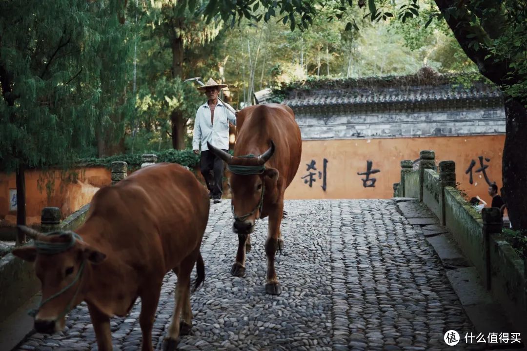 3h高铁圈大盘点，周边游按这篇玩就够了！