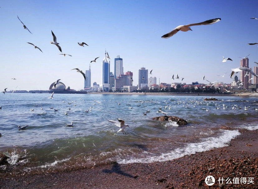 实现海鲜自由！青岛海鲜市场深度攻略及选购指南