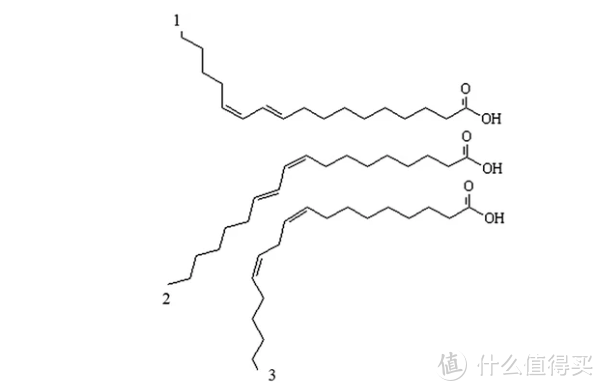 2024年共轭亚油酸实测推荐：共轭亚油酸有用吗？原理是什么？怎么选购？5个热门品牌评测分享