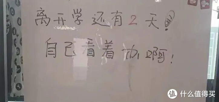 假期不摆烂！当当狸时间管理器 送给孩子养成自律习惯，大人也爱它