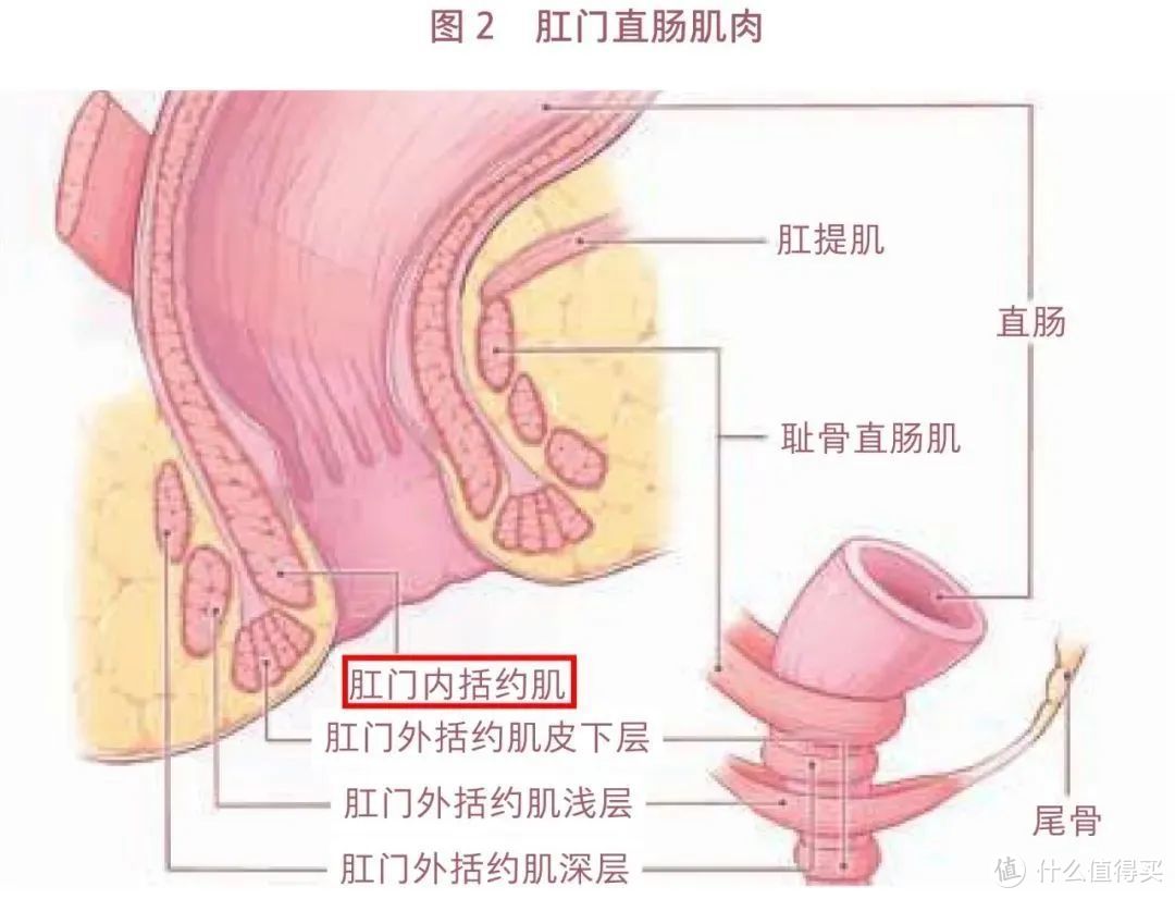 给“菊”部焦虑的年轻人，推荐一本自救指南