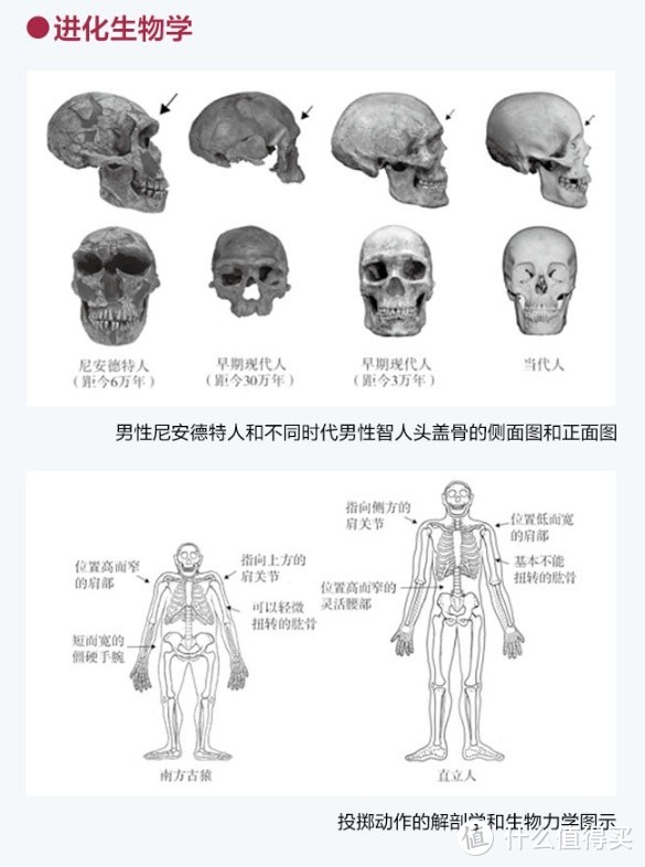 《锻炼》——从进化角度解读身体的秘密