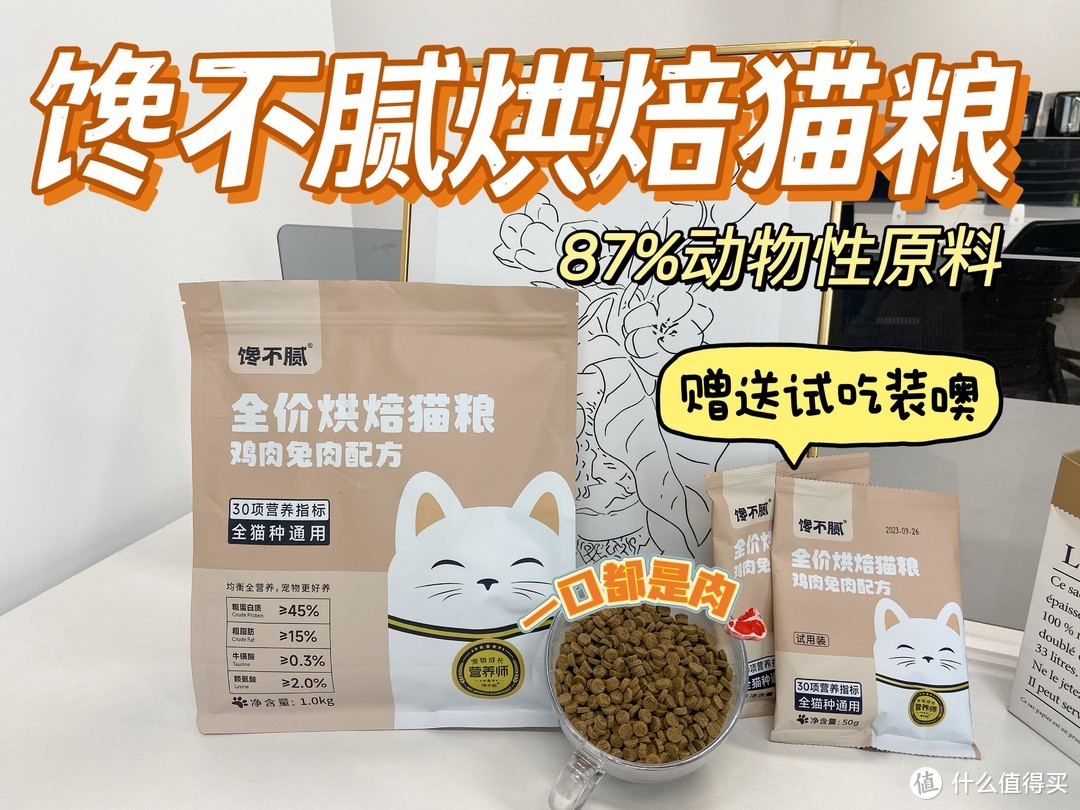 哭诉：养“加菲猫”9个月不到，我就后悔了！