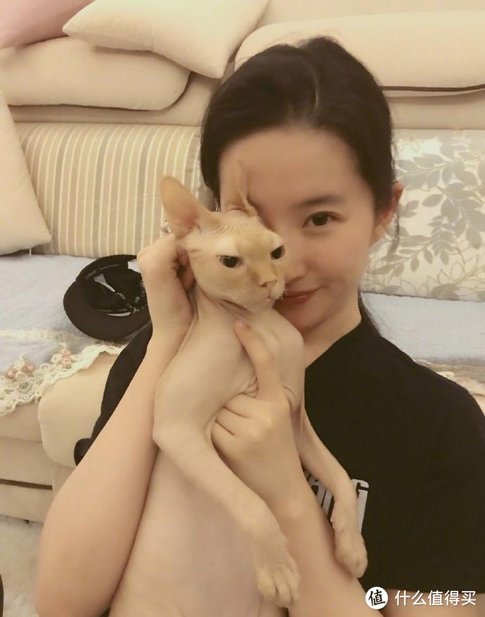 36岁刘亦菲豪宅曝光，全屋低调奢华，与猫狗相伴，网友：好羡慕她