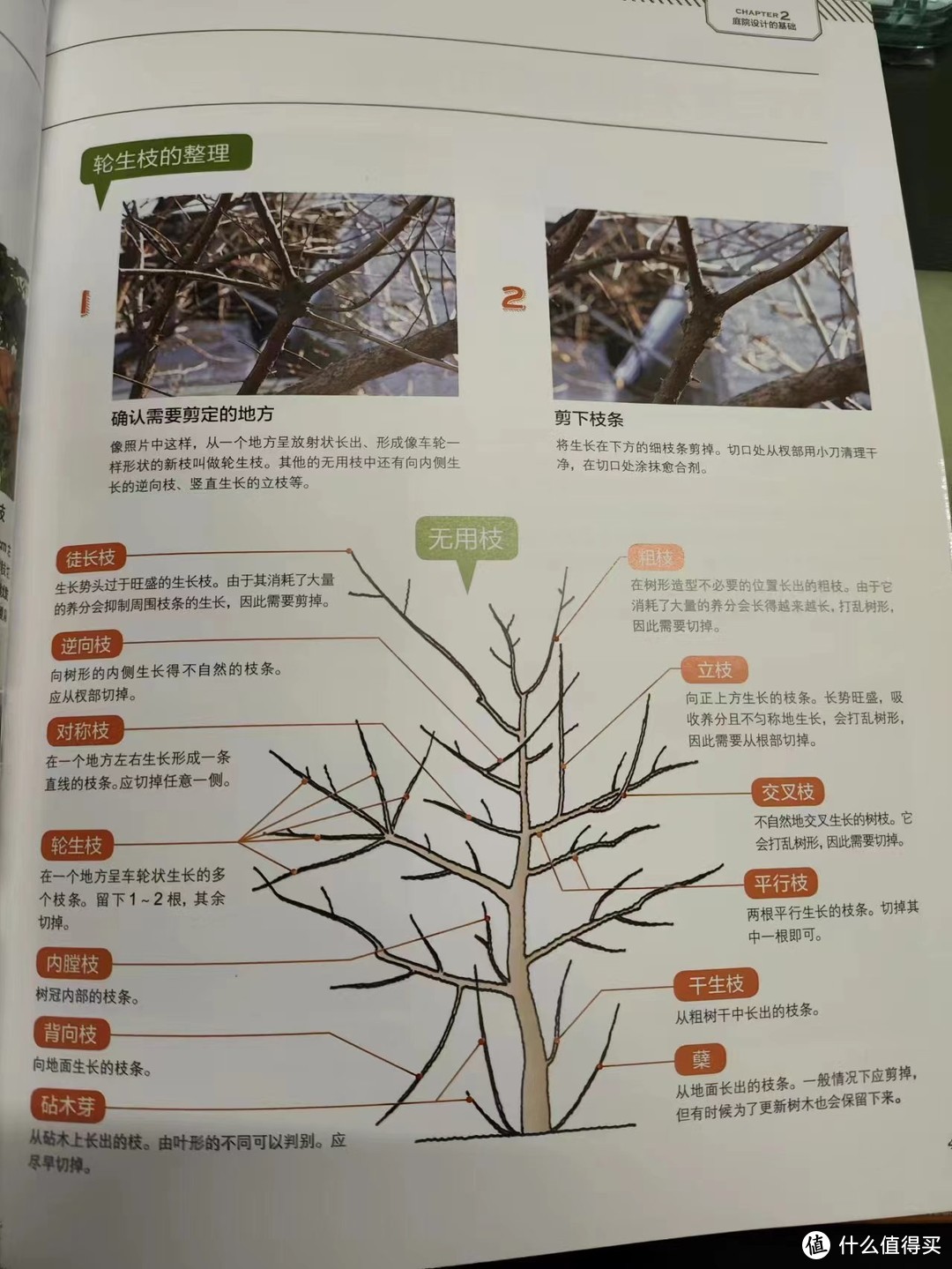 把我砸哭的植物系书单④：自然科普，以及植物系幻想生物设定必看！下半部分大合集，植物系列收工~