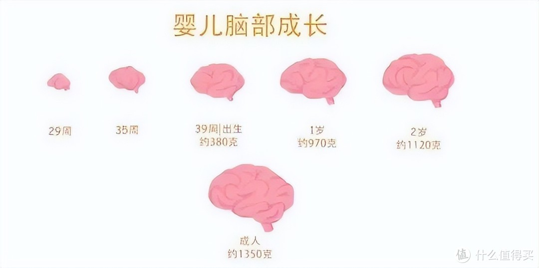 生孩子痛苦是进化的bug吗？