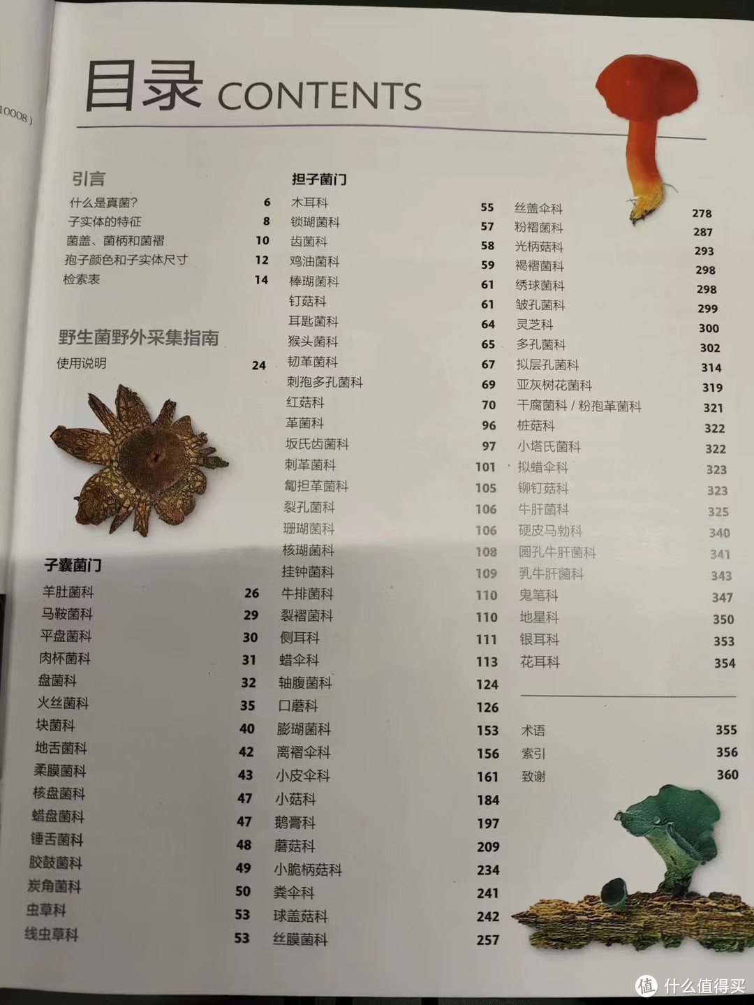 把我砸哭的植物系书单④：自然科普，以及植物系幻想生物设定必看！下半部分大合集，植物系列收工~