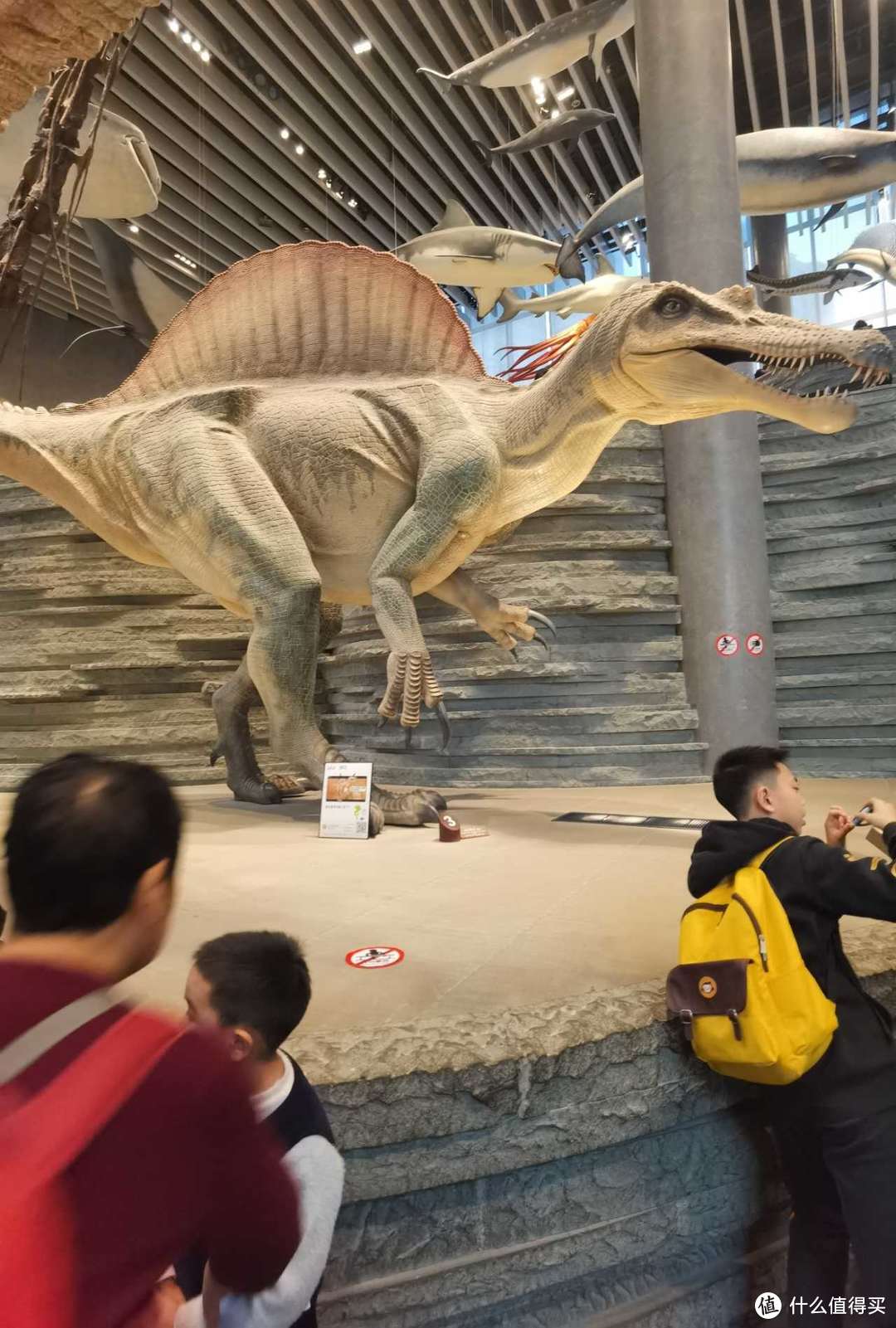 重庆自然博物馆门票图片