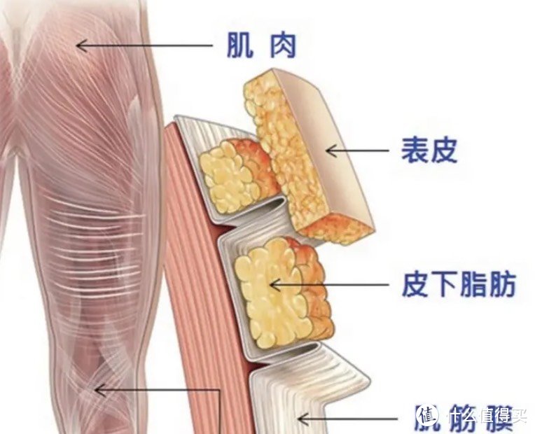 筋膜枪真的管用吗？三大隐患智商税要小心