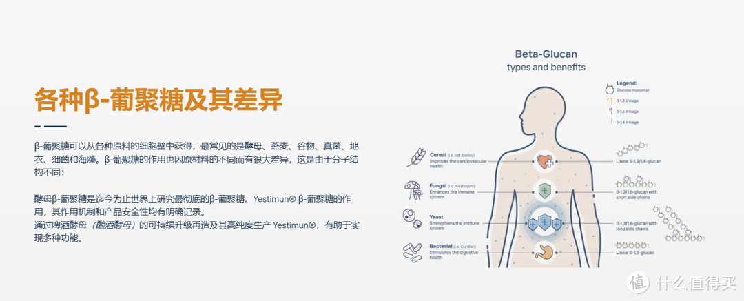 德国天然beta 酵母葡聚糖 (2).jpg