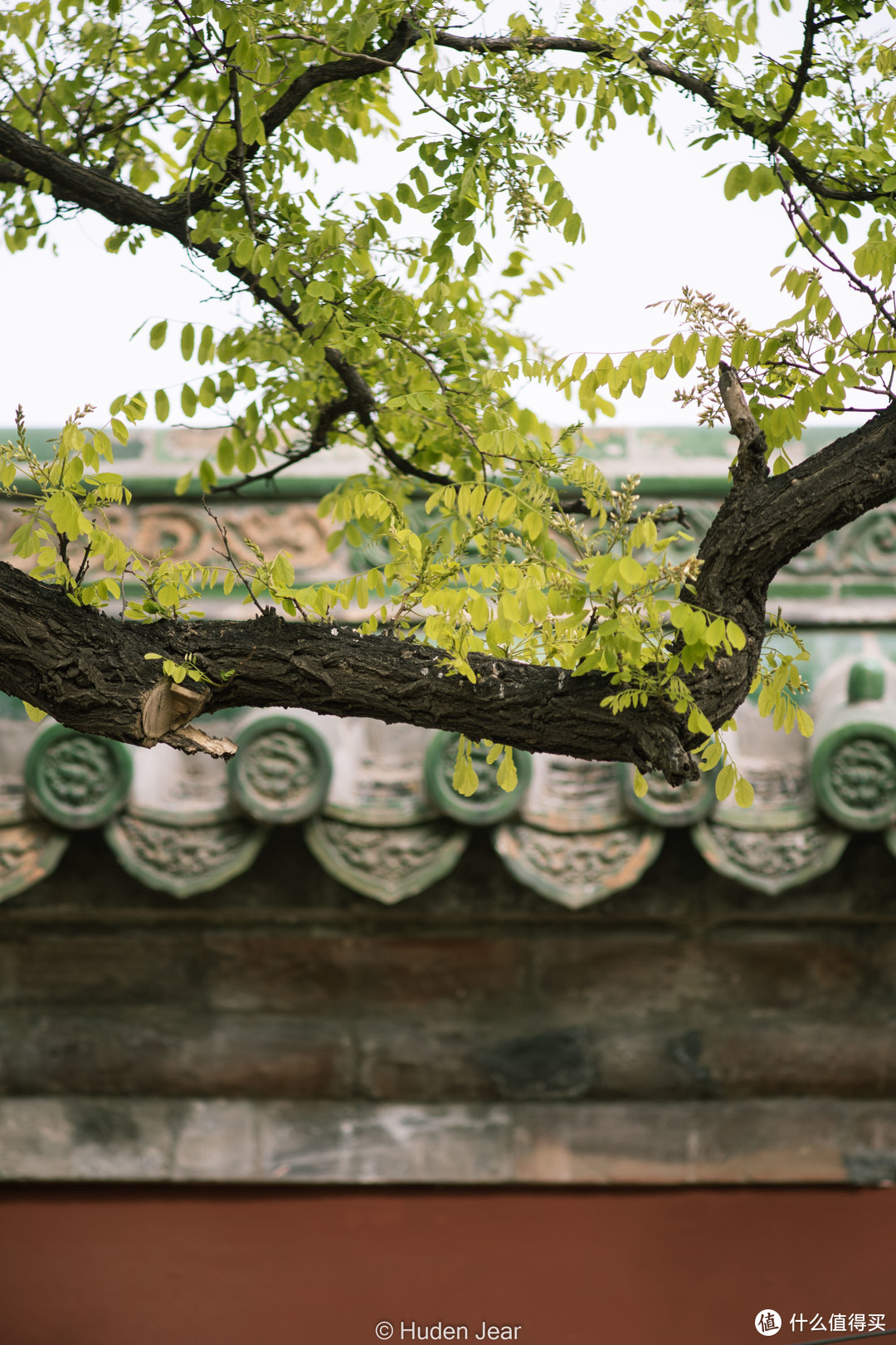 奥林巴斯OM 200mm F4，小巧与高素质的胶片时代长焦