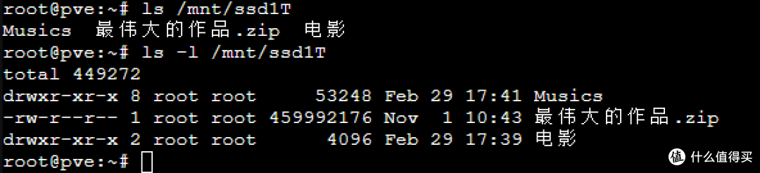 可以看到挂载磁盘下的文件