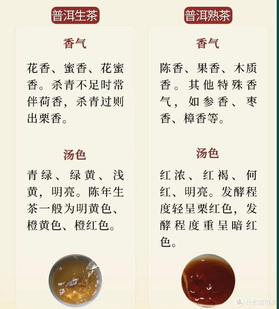 打工人每日一茶提提神