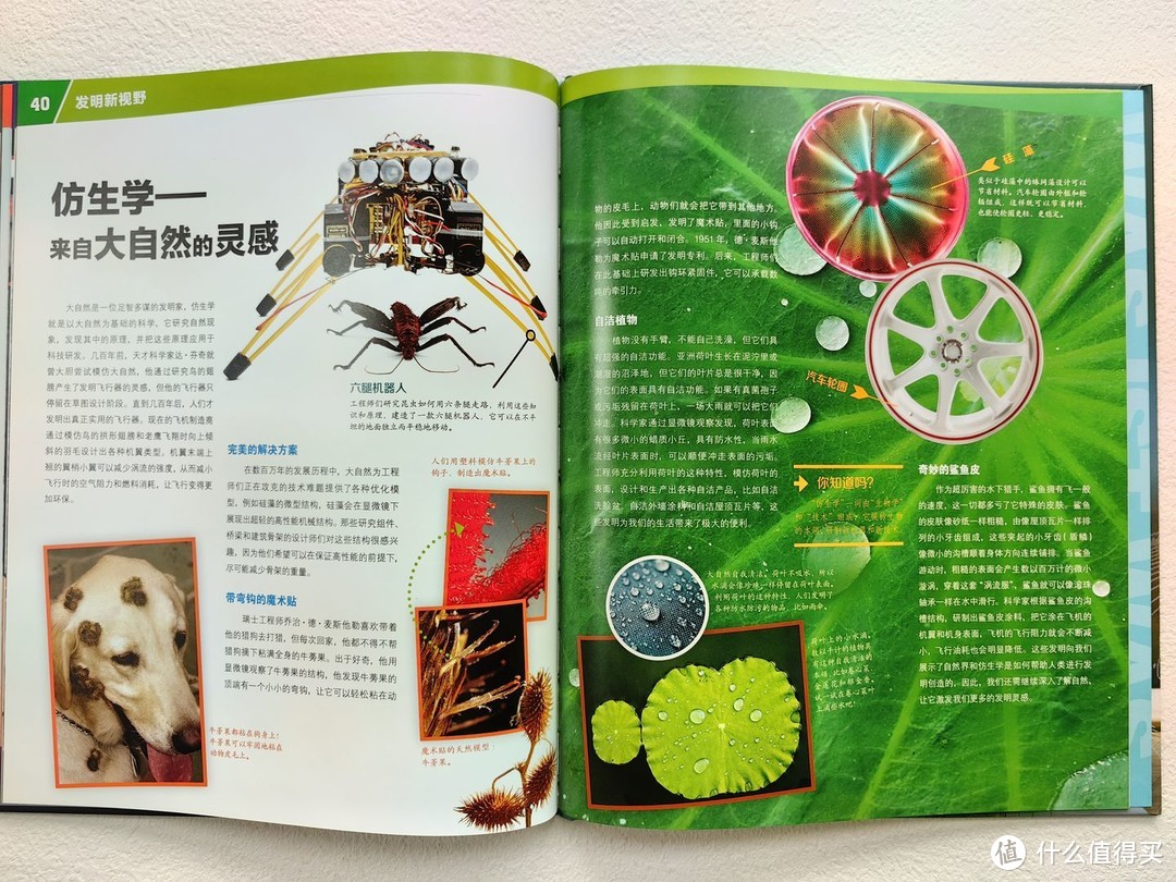 不愧是董宇辉推荐的少儿百科全书，孩子看入迷了！