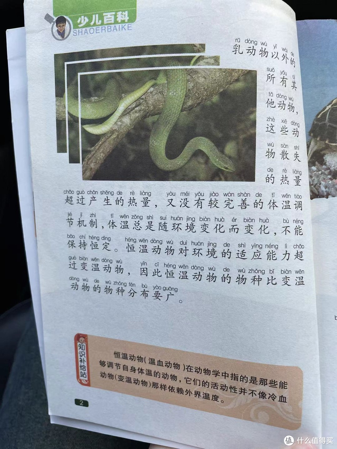 中国孩子的百科全书之恒温动物和变温动物