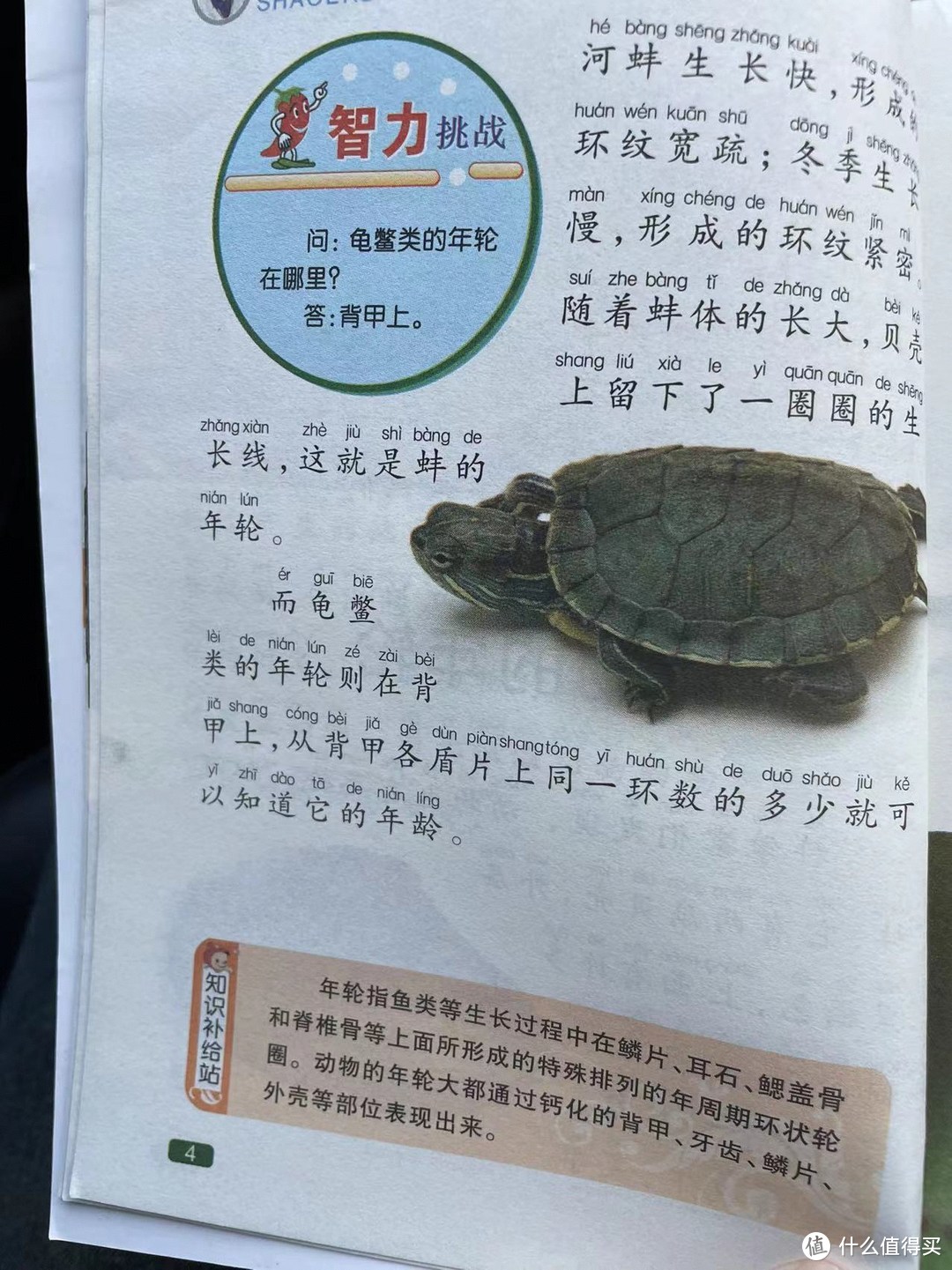 中国孩子的百科全书之动物的年轮
