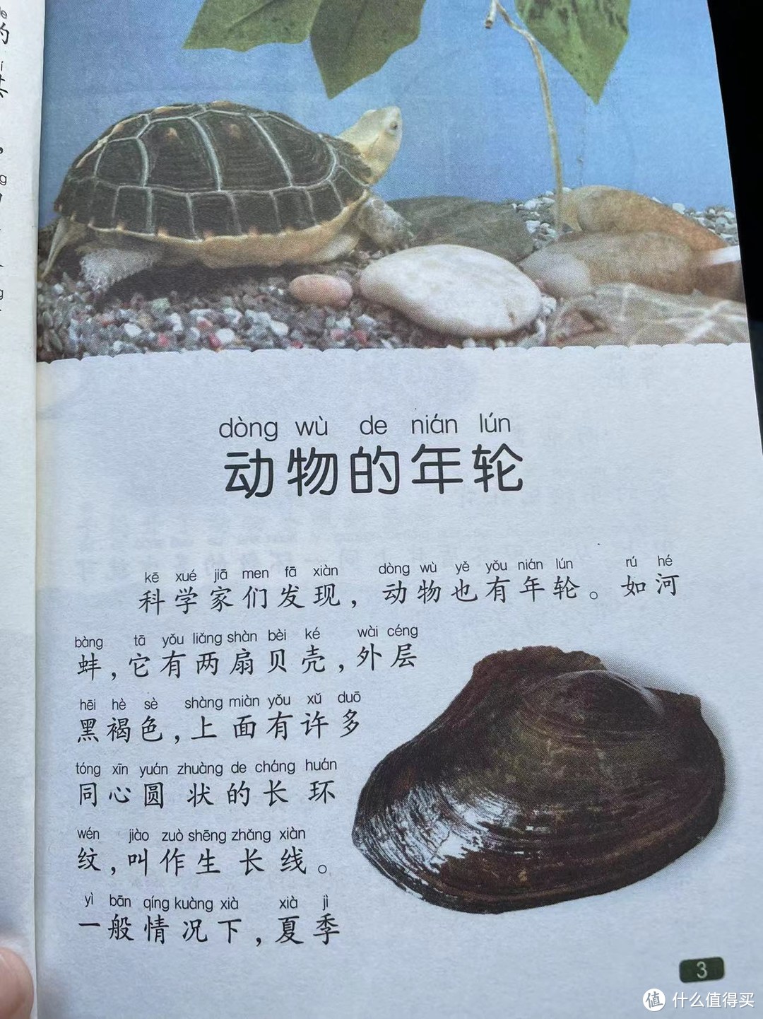 中国孩子的百科全书之动物的年轮