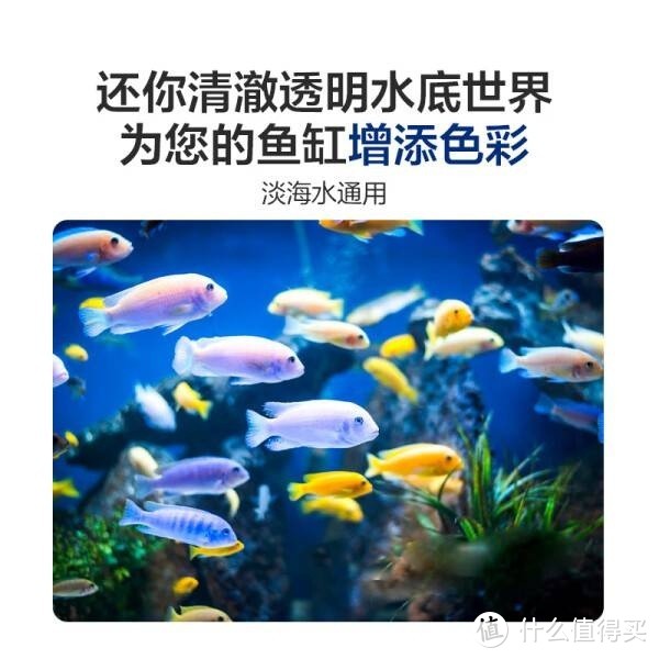 水医生硝化细菌鱼缸水族箱稳除氯气清澈净分解粪便消化用品 硝化菌王1000ML