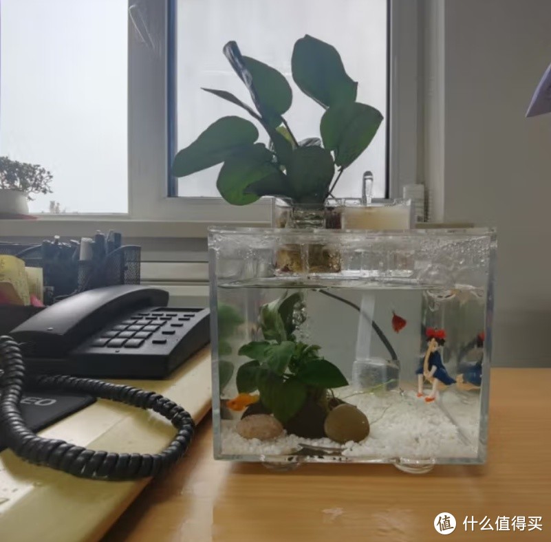 松宝 SOBO 桌面小型鱼缸：解压治愈的水族好物