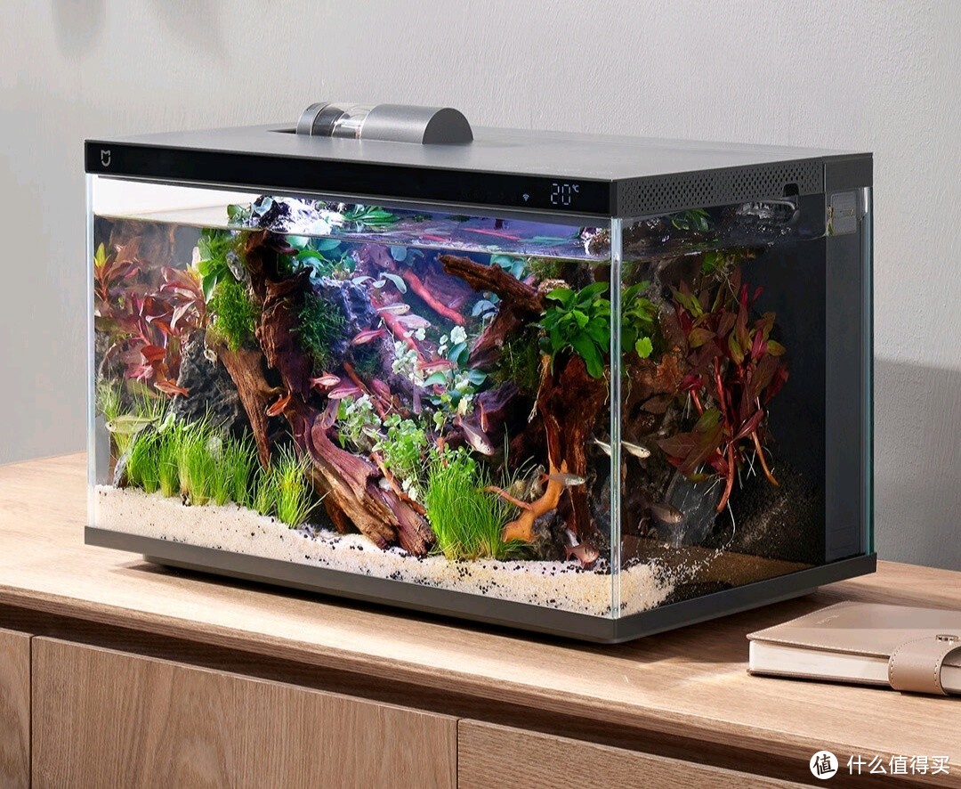 水族好物推荐：米家智能生态鱼缸，半年免换水的养鱼神器