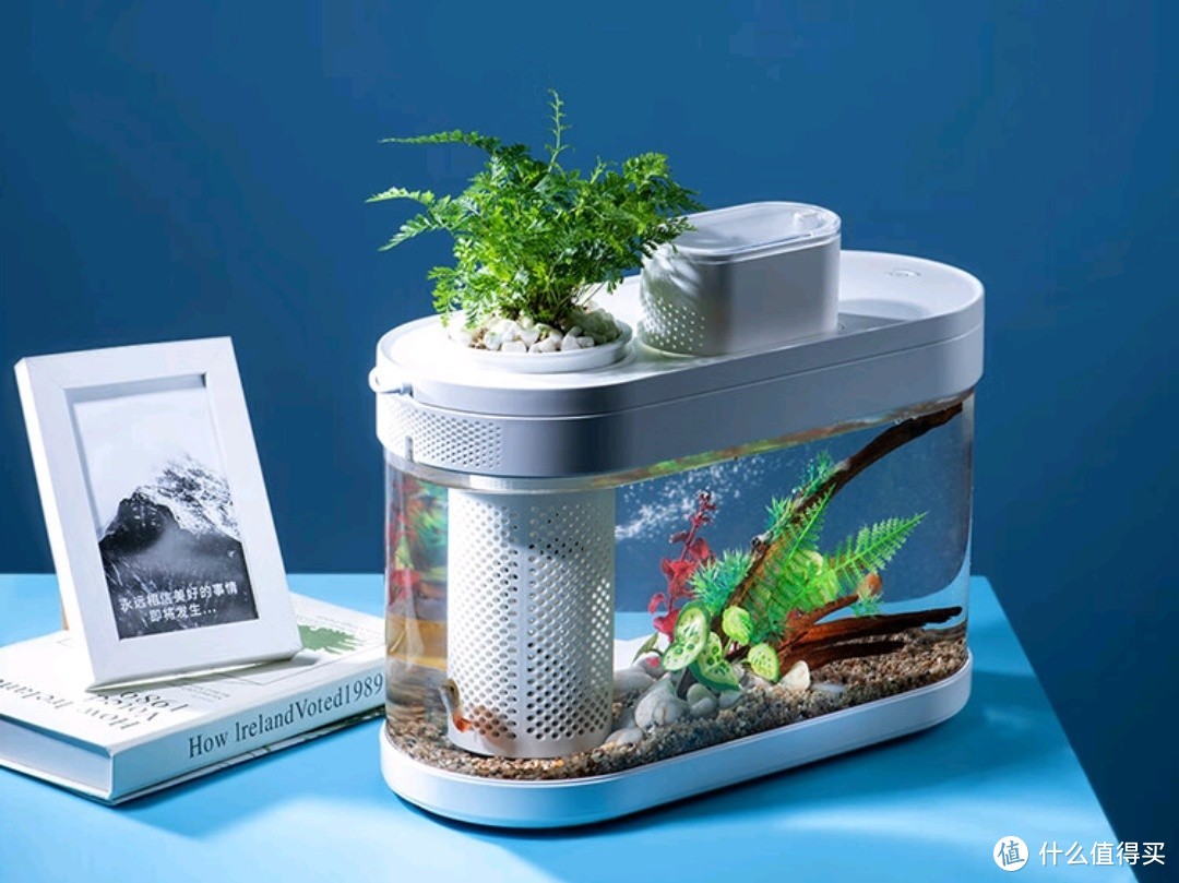 画法几何智能生态鱼缸水族箱：科技与水族的完美结合