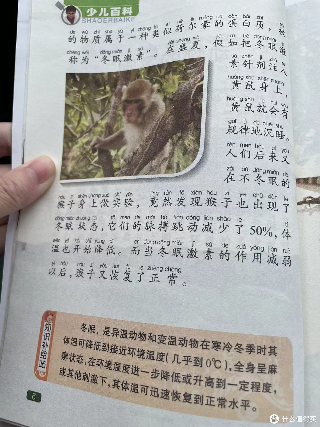 中国孩子的百科全书之动物的冬眠