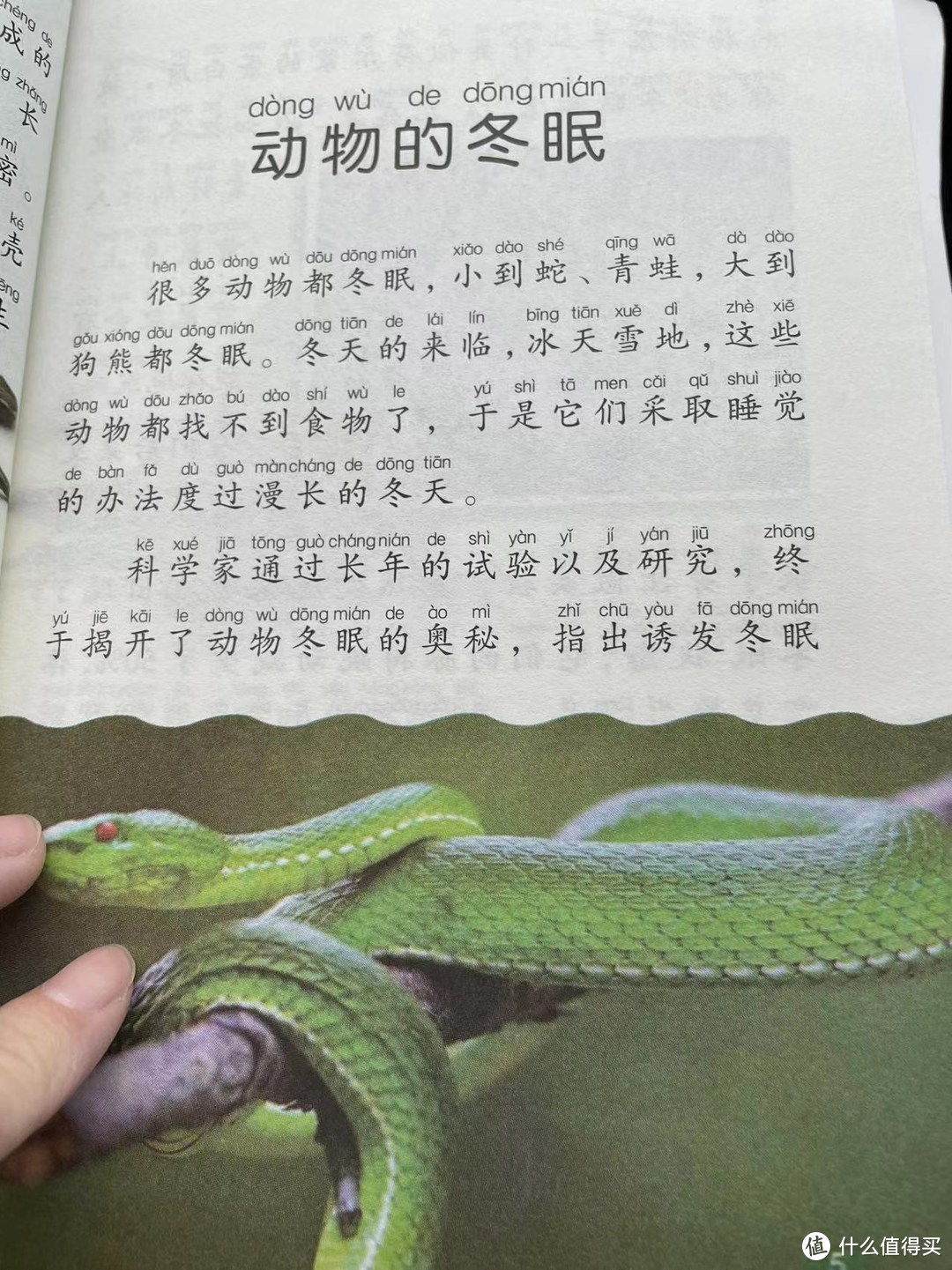 中国孩子的百科全书之动物的冬眠