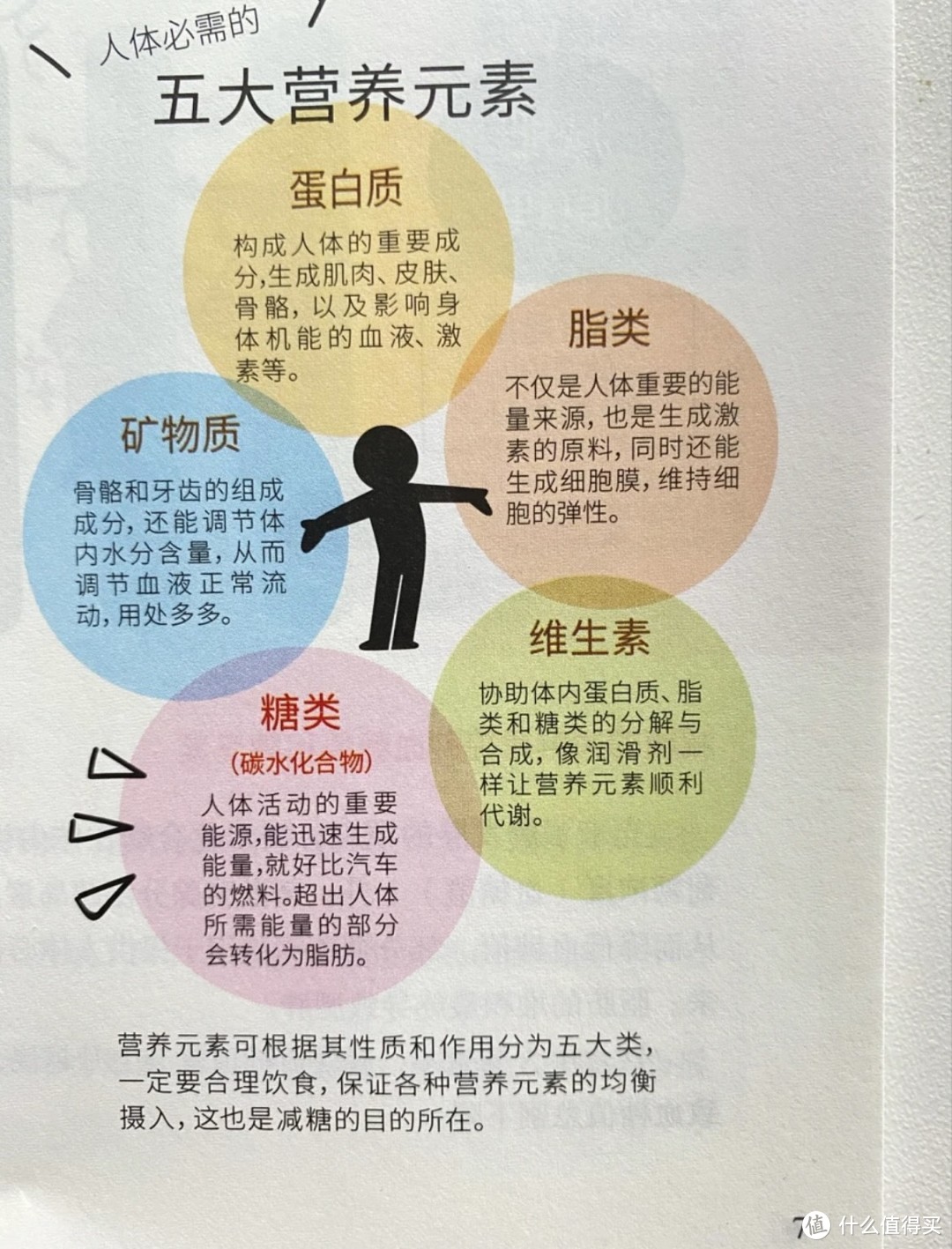 关于控糖，你了解多少？