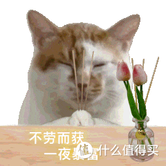 户外品牌岩云 Rock Cloud 又是咋回事?扒一扒这个 08 年的香港品牌，12 不允许你不知道！醒醒吧，阿祖！