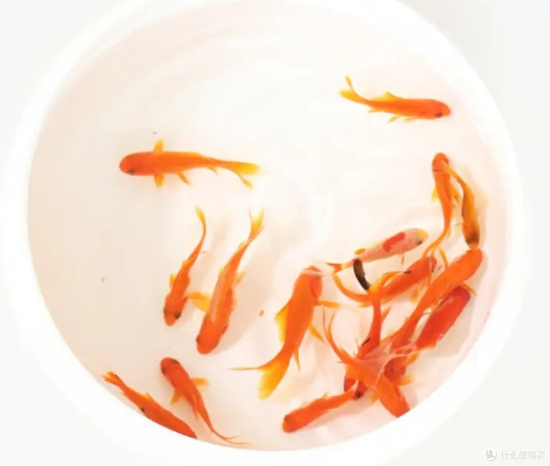 窗台上的“红气球”