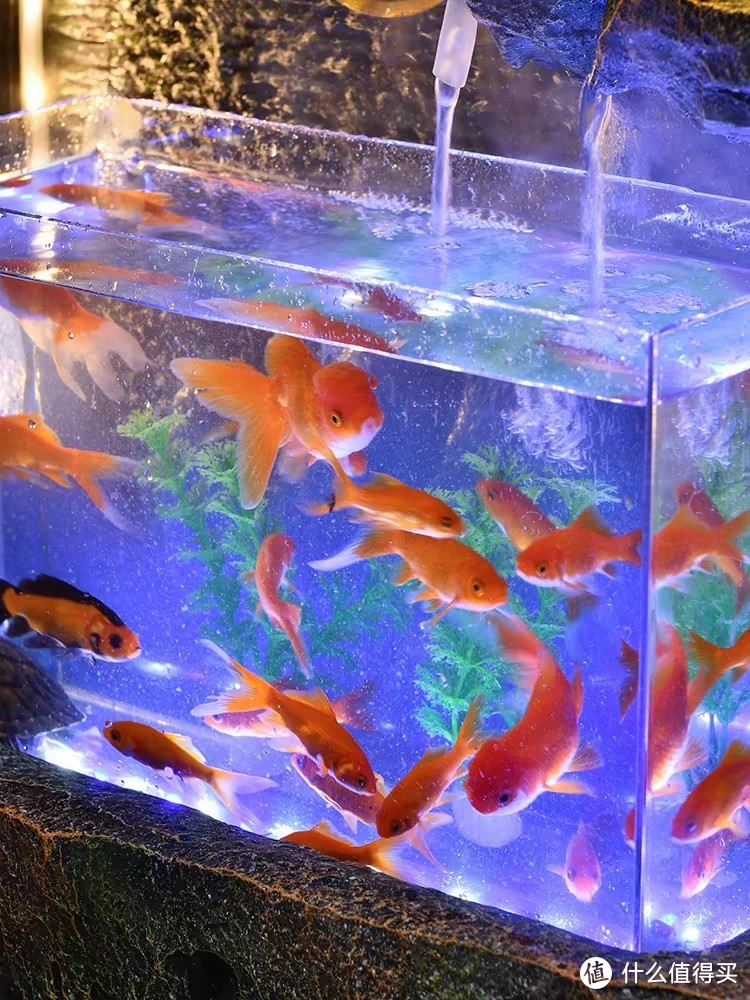 新中式鱼缸，养鱼也能如此雅致？
