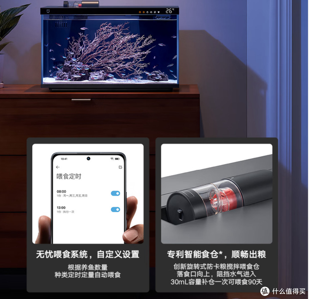 十年养鱼人，一朝上岸给新手的入门推荐：小米智能鱼缸