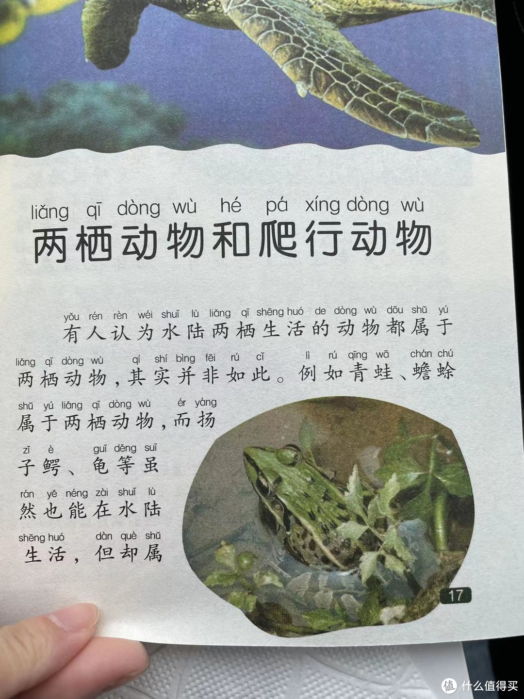 中国孩子的百科全书之两栖动物和爬行动物