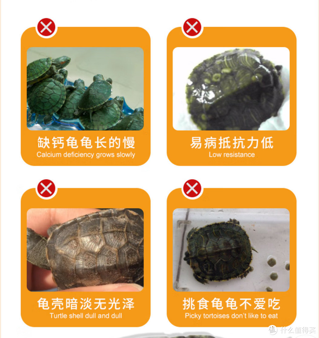 乌龟龟壳暗淡无光，挑食，变瘦，这可能都是乌龟饲料出了问题。