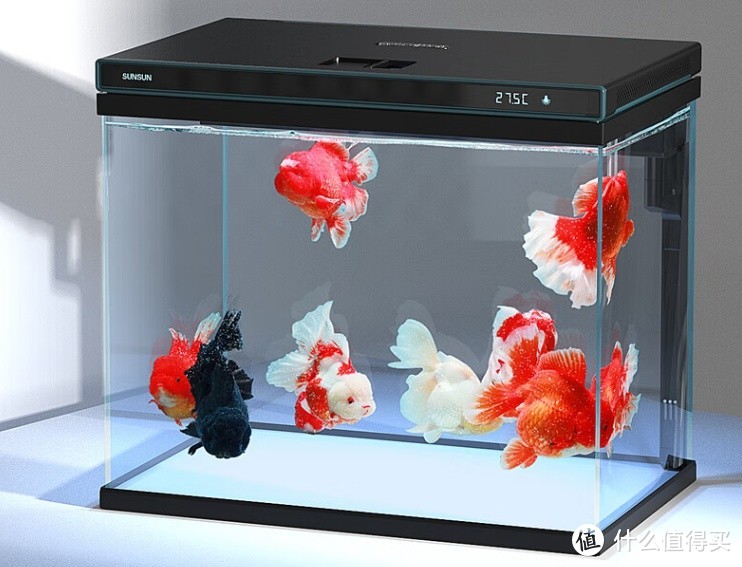森森超白玻璃鱼缸XHE-380：享受放松与美好的水族小世界