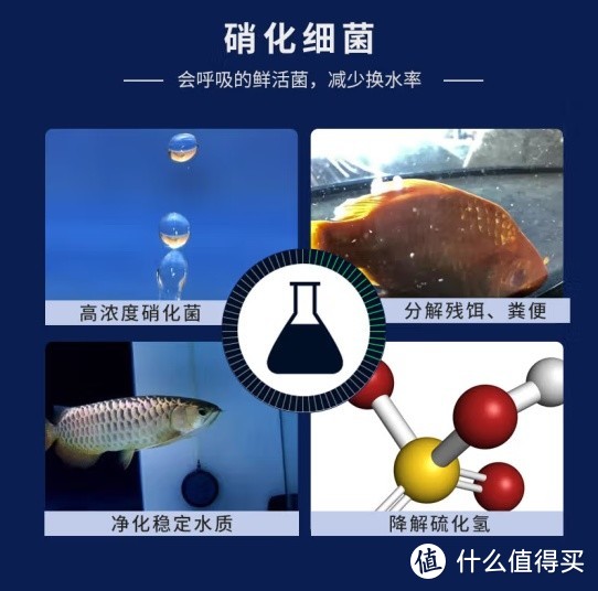汉洋（HANYANG）硝化细菌200ml：带来清澈透亮的健康鱼缸水质
