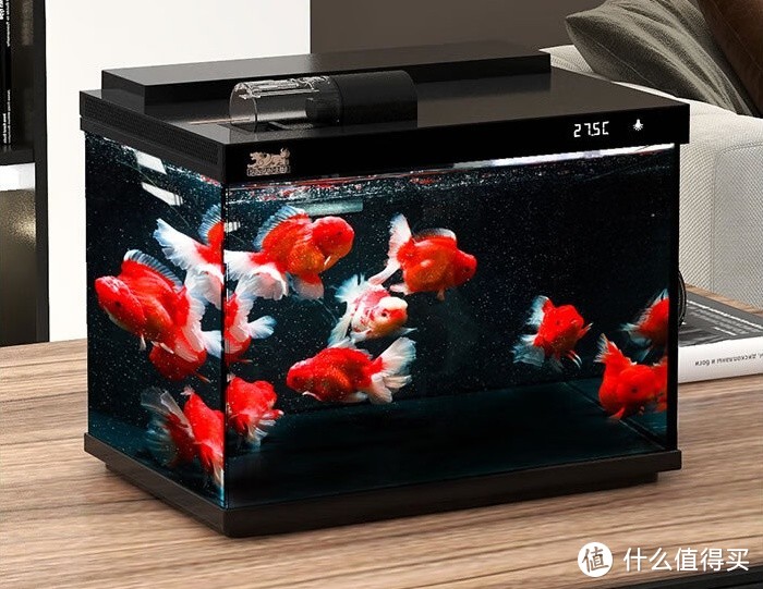 森森（SUNSUN）金麟超白玻璃鱼缸：养鱼无忧的小型懒人鱼缸