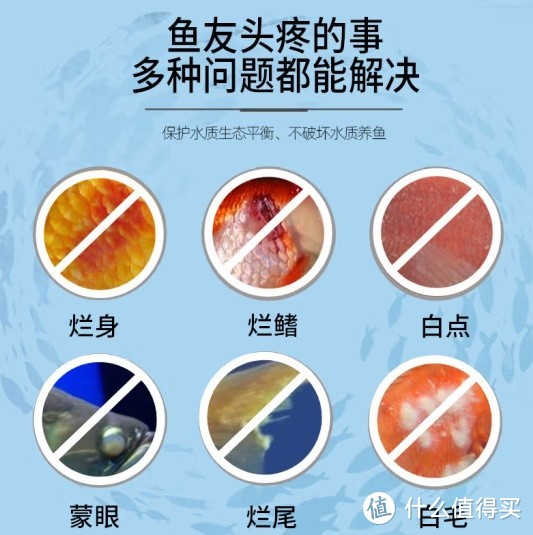 汉洋 速溶黄粉——呵护观赏鱼健康