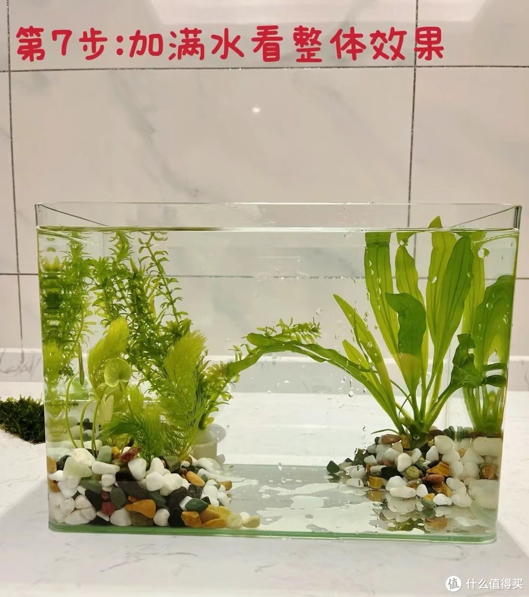 简易鱼缸造景流程，手把手教你