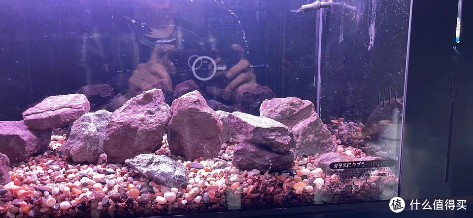 莱易欧侧滤金鱼缸：打造完美水族生态，尽显家居之美！