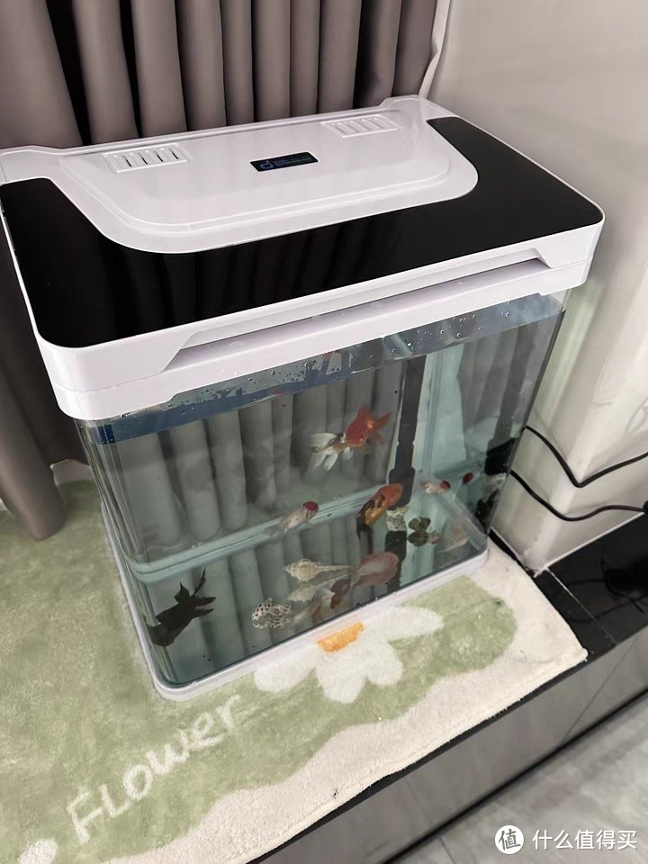初迪金鱼缸过滤制氧一体机：家居生态新宠，打造免换水水族箱