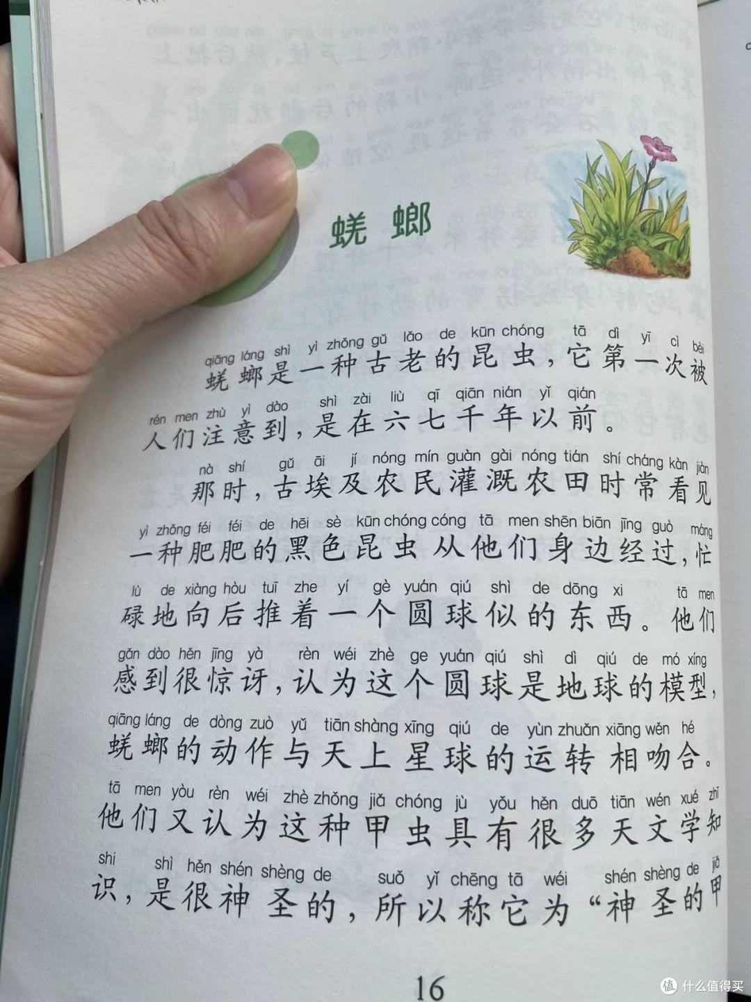 和娃一起读昆虫记之蜣螂