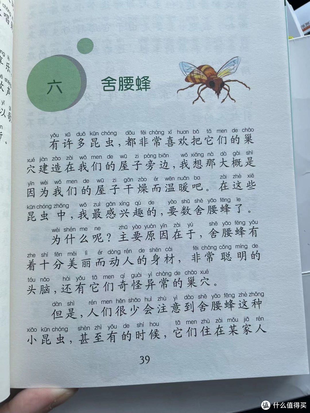 舍腰蜂简笔画图片大全图片