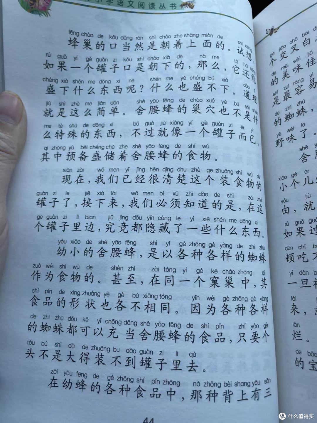 和娃一起读《昆虫记》之舍腰蜂